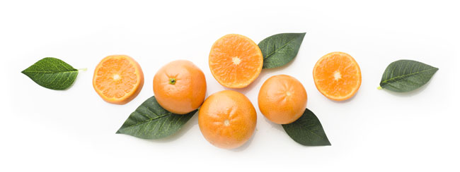 flat-lay-fruits-concept-with-copy-space3